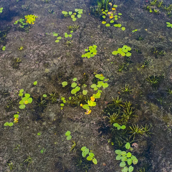 Top View River Kiev Ukraine Taken Drone — Stock Photo, Image