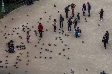Paris, Fransa - 15 Ekim 2016: güvercinler ve Notre Dame de Paris önünde tanımlanamayan turistler. Dünyanın en büyük ve en tanınmış kilise binalar arasında