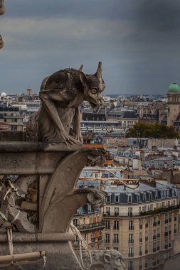 Notre Dame de Paris kulesinden Paris'in en iyi manzarası