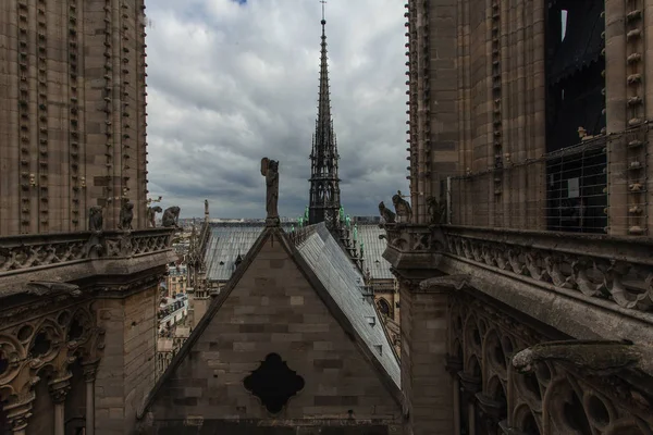 Notre Dame París —  Fotos de Stock