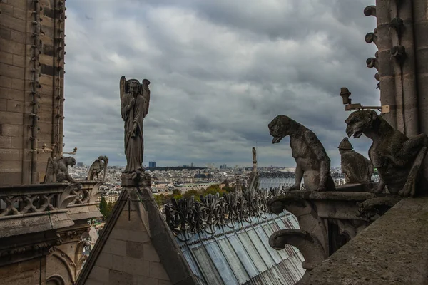 Famosa Gárgola Notre Dame Con Vistas Paisaje Urbano París —  Fotos de Stock