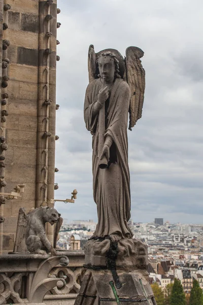 Gárgula Famosa Notre Dame Com Vista Para Paisagem Urbana Paris — Fotografia de Stock