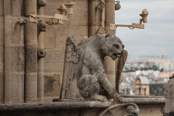 Slavný Chrlič Notre Dame Výhledem Pařížskou Citykrajinu — Stock fotografie