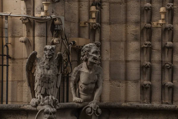 Slavný Chrlič Notre Dame Výhledem Pařížskou Citykrajinu — Stock fotografie