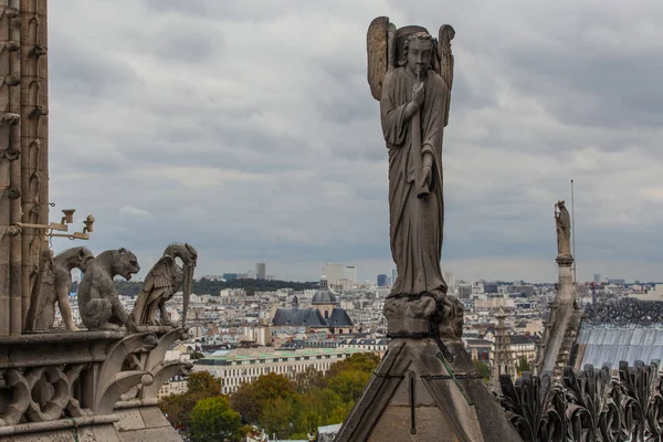 Знаменита Нотр Дам Гаргойл Видом Паризький Міський Пейзаж — стокове фото
