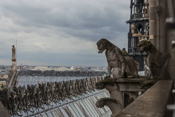 Знаменита Нотр Дам Гаргойл Видом Паризький Міський Пейзаж — стокове фото