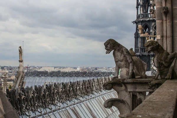 Famosa Gárgola Notre Dame Con Vistas Paisaje Urbano París — Foto de Stock