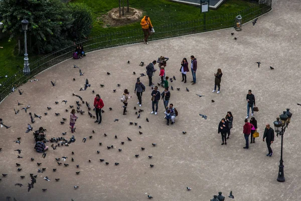 Paris Frankrijk Oktober 2016 Duiven Niet Geïdentificeerde Toeristen Tegenover Notre — Stockfoto