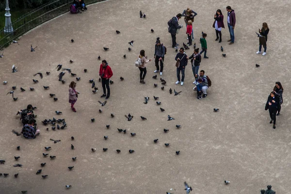 Paris França Outubro 2016 Pombas Turistas Não Identificados Frente Notre — Fotografia de Stock