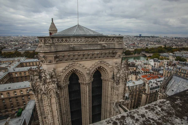 Вид Паризький Історичний Центр Вежі Нотр Дам — стокове фото