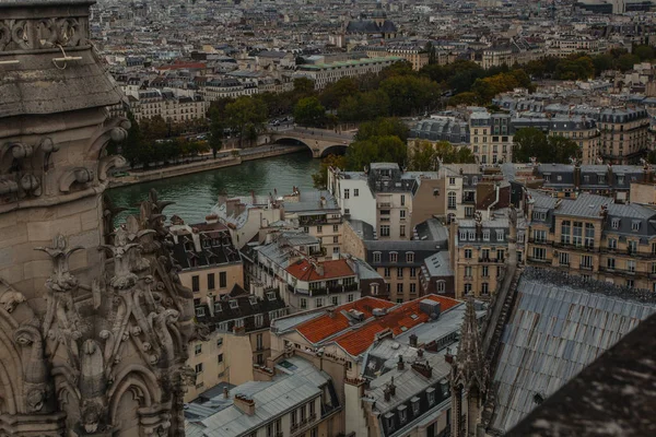 Θέα Στο Παρίσι Από Τον Πύργο Της Notre Dame Paris — Φωτογραφία Αρχείου