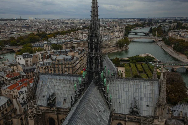 Вид Паризький Історичний Центр Вежі Нотр Дам — стокове фото