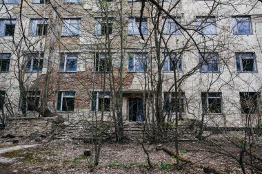 Pripyat ağaçlar ile büyümüş terk edilmiş bir bina, Çernobil bölgesi