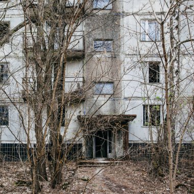 Pripyat ağaçlar ile büyümüş terk edilmiş bir bina, Çernobil bölgesi