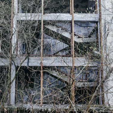 Pripyat ağaçlar ile büyümüş terk edilmiş bir bina, Çernobil bölgesi