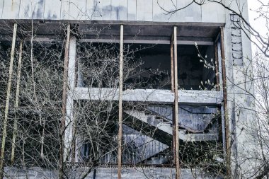 Pripyat ağaçlar ile büyümüş terk edilmiş bir bina, Çernobil bölgesi