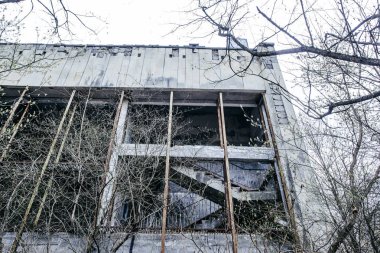 Pripyat ağaçlar ile büyümüş terk edilmiş bir bina, Çernobil bölgesi