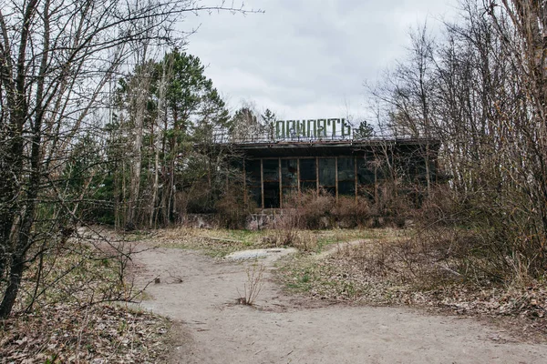 Заброшенное Здание Заросшее Деревьями Припяти Чернобыльской Зоне — стоковое фото
