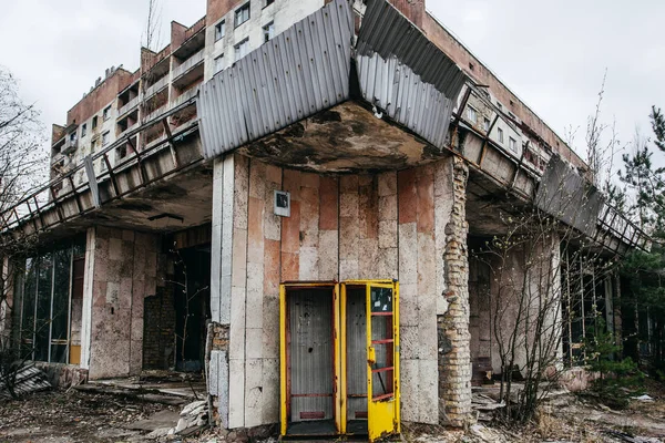 Çernobil Nükleer Felaketinden Sonra Pripyat Terk Edilmiş Kasabasında Büyümüş Ağaçlar — Stok fotoğraf