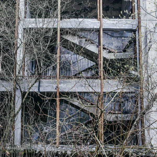 Edifício Abandonado Coberto Árvores Pripyat Zona Chernobyl — Fotografia de Stock