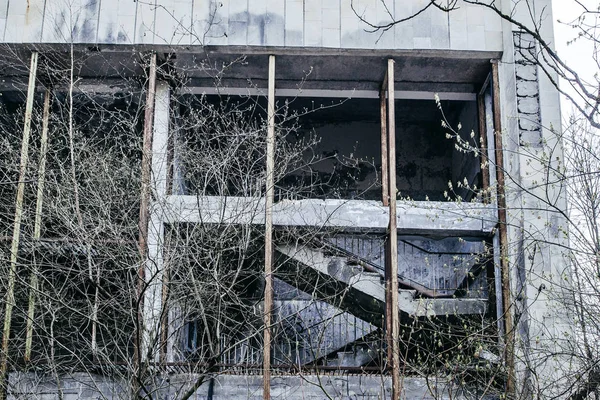 Заброшенное Здание Заросшее Деревьями Припяти Чернобыльской Зоне — стоковое фото