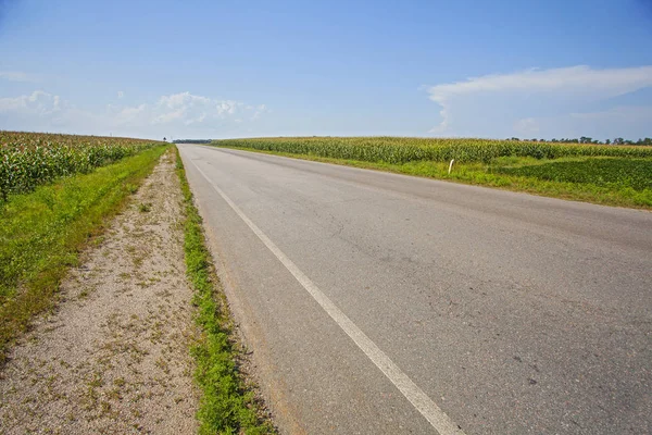 Droga Środkowej Ukrainie Pola Kukurydzy Bokach — Zdjęcie stockowe