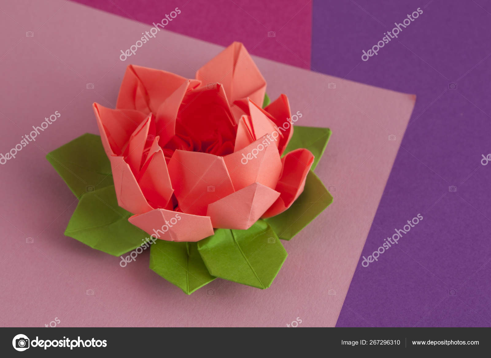 Rose Lotus Origami Flower Paper Stock Photo Alexandra