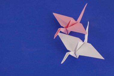 Mavi arkaplanda beyaz ve gül turnaları izole edilmiş.