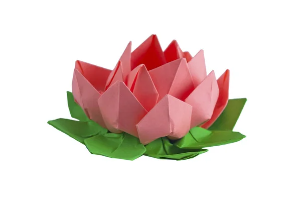 Flor Lótus Origami Rosa Isolado — Fotografia de Stock