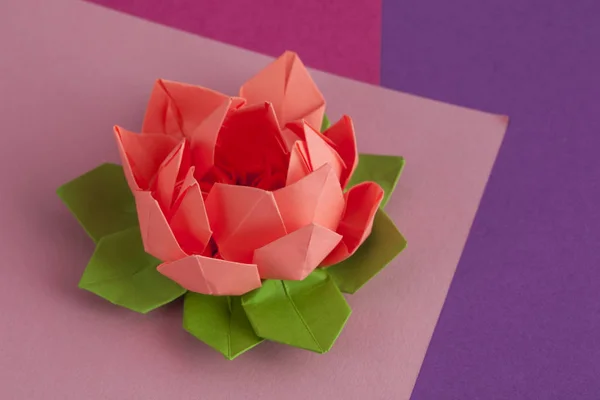 Rose lotus origami flower on paper