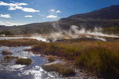 İzlanda Strokkur Geyser Milli Parkı.