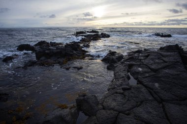 İzlanda'da güzel sahil