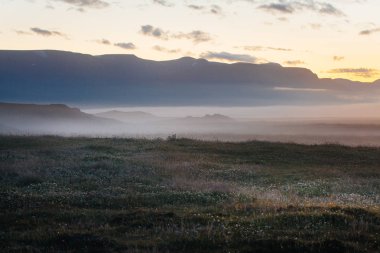 İzlanda'da sisli gün batımı, tarlalar ve tepeler