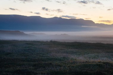 İzlanda'da sisli gün batımı, tarlalar ve tepeler