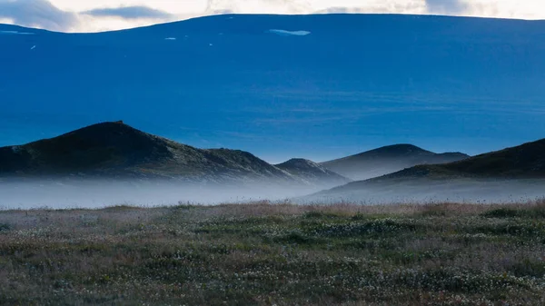 Туманний захід сонця в Ісландії, випасу коней на полях і пагорбах — стокове фото