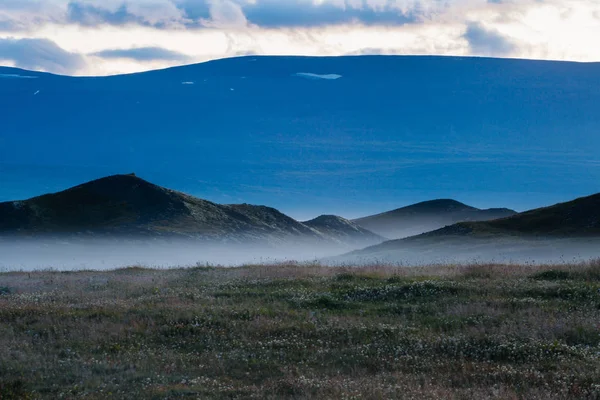 Sumuinen auringonlasku Islannissa, laiduntavat hevoset pelloilla ja kukkuloilla — kuvapankkivalokuva