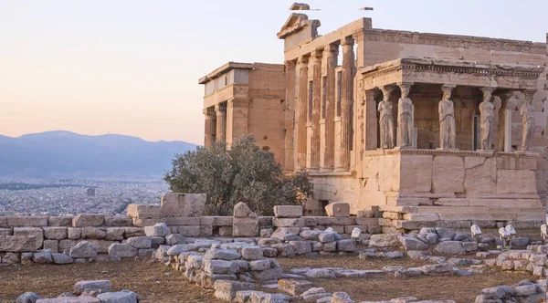 Beroemd Erechtheon Ancient Building Acropolis Athene Griekenland — Stockfoto