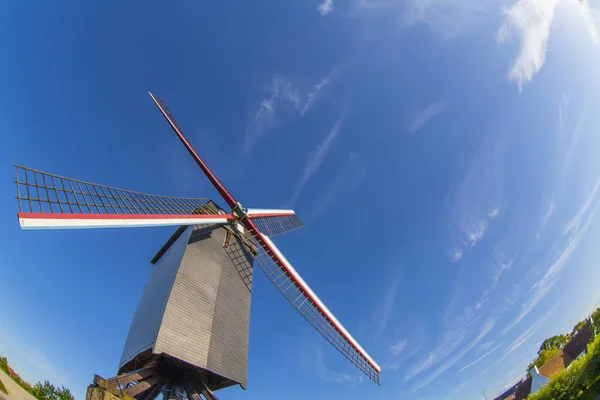 Moinho De Vento Histórico Na Pequena Colina Na Natureza Em Brugge