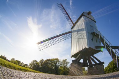 Brugge Ortaçağ ahşap yel değirmeni (Bruges)