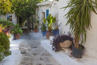 Atina,Greese'de güzel parlak evler ve saksılar