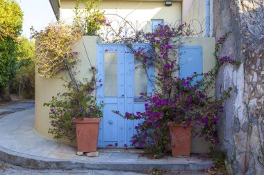 Atina,Greese'de güzel parlak evler ve saksılar