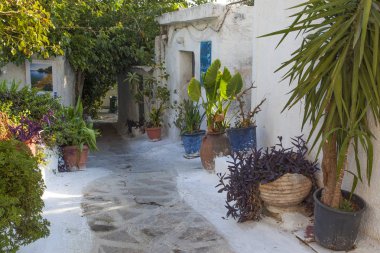 Atina,Greese'de güzel parlak evler ve saksılar