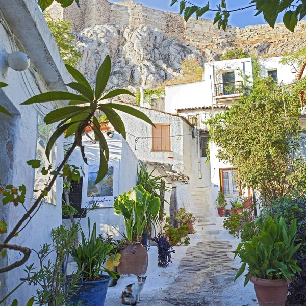 Beautiful bright houses and flowerpots  in Athens, Greese