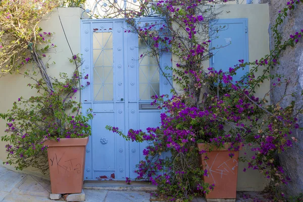 Mooie Heldere Huizen Bloempotten Athene Greese — Stockfoto