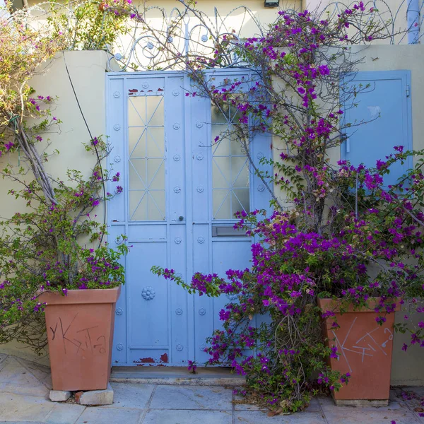 在雅典美丽的明亮的房子和花盆 格里斯 — 图库照片