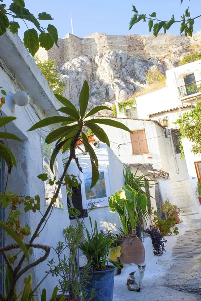 Beautiful Bright Houses Flowerpots Athens Greese — Stock Photo, Image