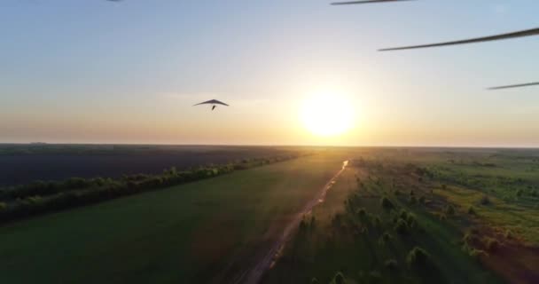 緑と黄色の新鮮な春のフィールド上の日没の時間にグライダーの飛行をハングアップ 空中トップビュー 無人機で撮影 — ストック動画