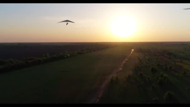 Let Kluzáku Při Západu Slunce Nad Zelenými Žlutými Čerstvými Jarními — Stock video