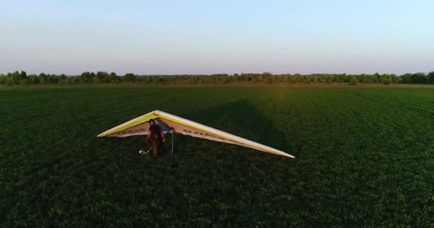 Drachenflug Bei Sonnenuntergang Über Grünen Und Gelben Frühlingsfeldern Luftaufnahme Mit — Stockvideo