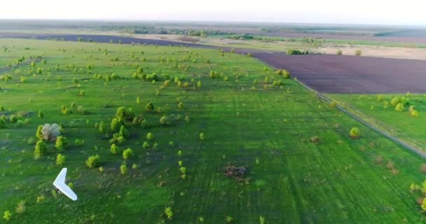 Sárkányrepülés Naplementekor Zöld Sárga Tavaszi Mezők Felett Légi Felvétel Drónnal — Stock videók